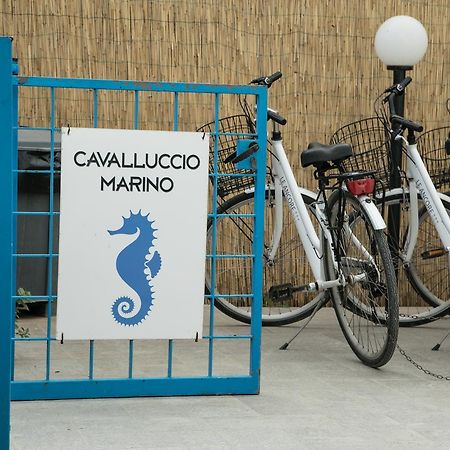 Apartmán Cavalluccio Marino Favignana Exteriér fotografie